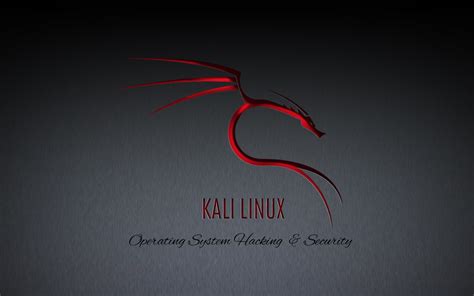 Image result for Kali Linux Stock Image