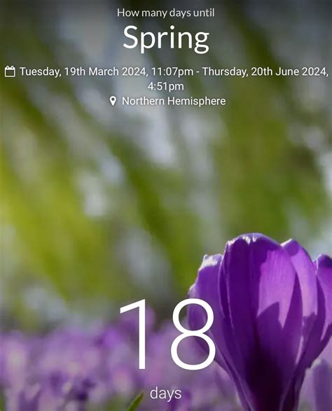 Greenhouse From Old Windows