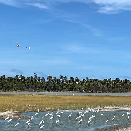 The Best Last Minute Hotels in Ilha do Guajiru 2023 - Tripadvisor