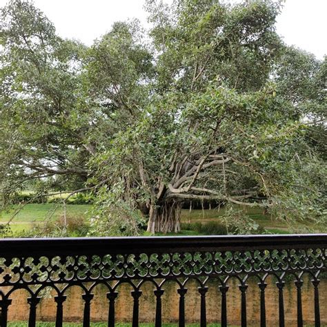 EAGLETON THE GOLF RESORT (Bengaluru) - Specialty Hotel Reviews, Photos ...