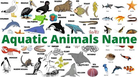 Image result for Water Reflection Photoshop Tutorial