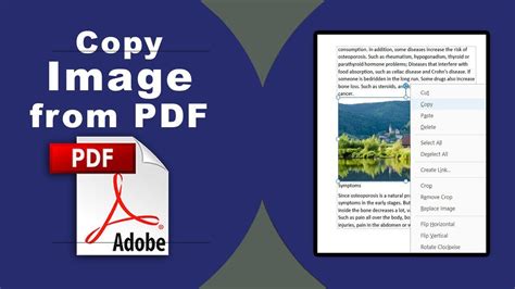 Image result for How to Edit PDF Using Acrobat Professional