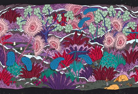 Drawing Process 的图像结果