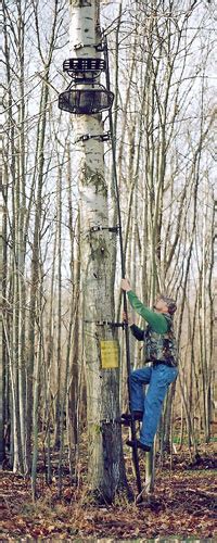 Image result for Lock On Tree Stand Ladder
