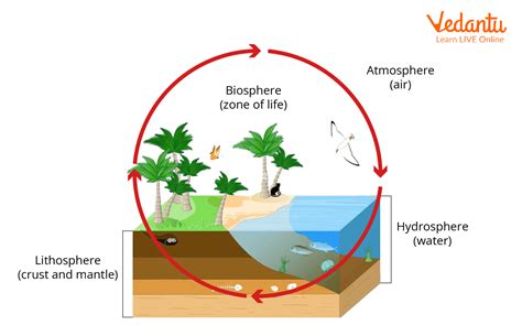 Environment Types 的图像结果