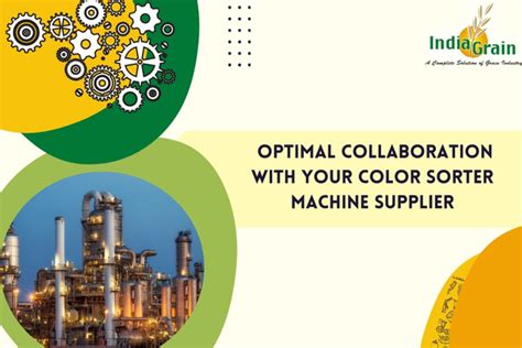 Unlocking Efficiency: A Guide to Optimal Collaboration with Your Color ...