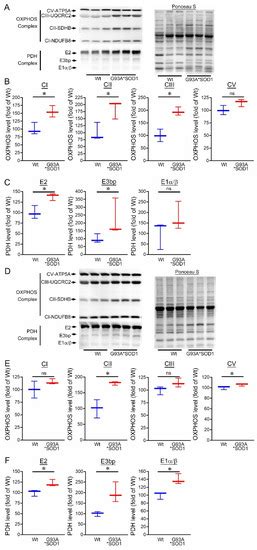 Pathological Sequelae Associated with Skeletal Muscle Atrophy and ...