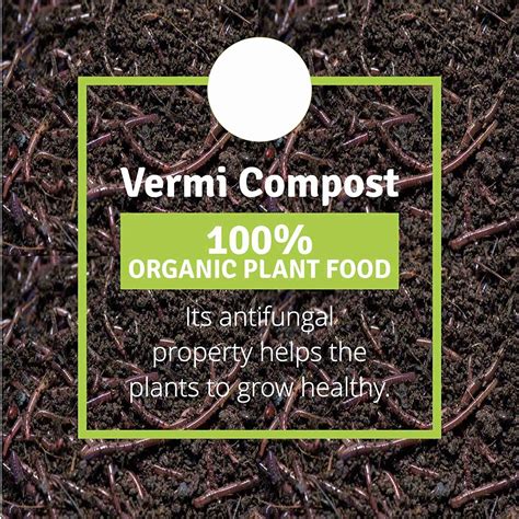 VibeX ™ XXL-600 - Enriched 100% Organic & Pure Vermicompost - 0.75Kgs ...