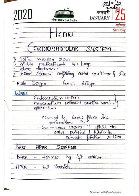 Anatomy and Physiology of Cardiovascular System - Studocu