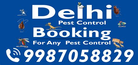 Pest Control in Delhi | Delhi Pest Control