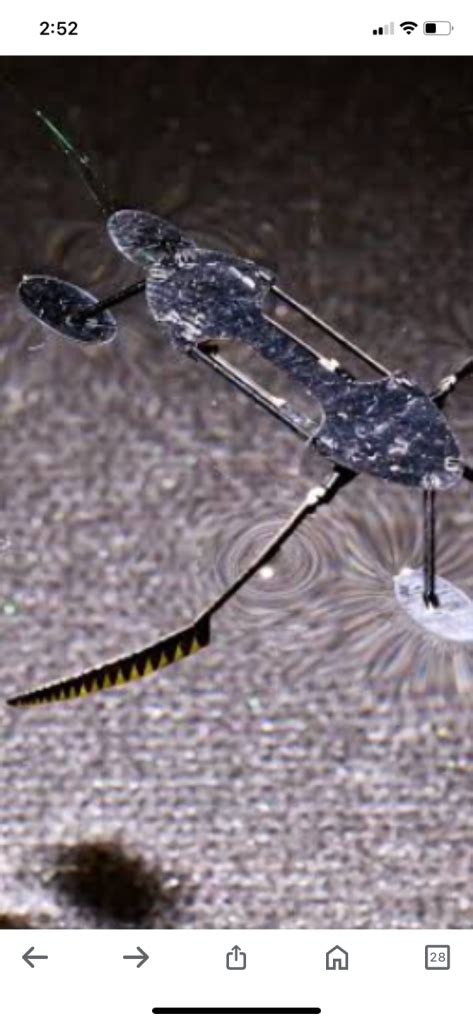 Scientists Have Created the World’s Smallest, Lightest, and Fastest ...