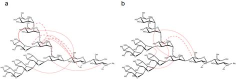 Application of Metabolic 13C Labeling in Conjunction with High-Field ...