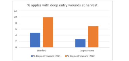 Image result for Codling Moth Control