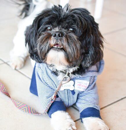 HELADIO FROZEN YOGURT, Guadalajara - Restaurant Reviews, Phone Number ...