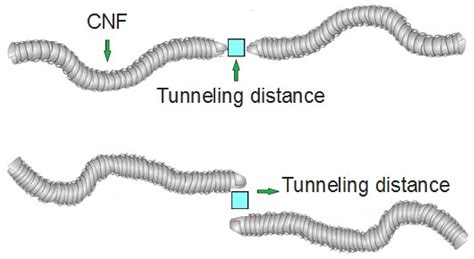 Modeling of Electrical Conductivity for Polymer–Carbon Nanofiber Systems