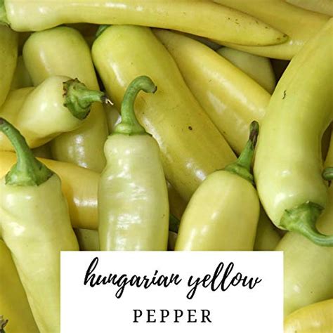 Hungarian Yellow Wax Hot Pepper : Amazon.in: Garden & Outdoors
