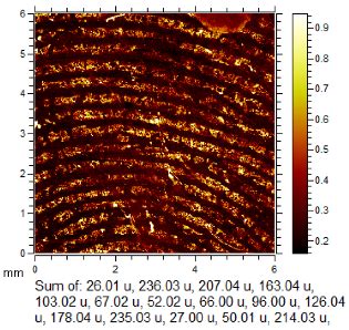 Expanding the Efficacy of Fingermark Enhancement Using ToF-SIMS