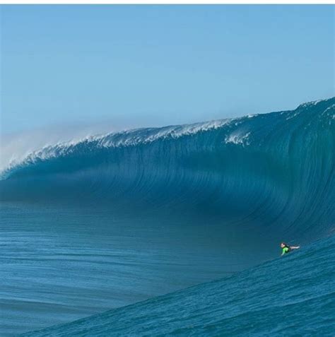 Image result for Wave Button Animation. CSS