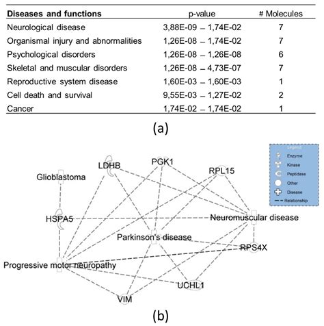 Connecting the Dots in the Neuroglobin-Protein Interaction Network of ...