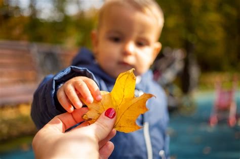 Close-up portrait of boy holding autumn leaf | Premium Photo