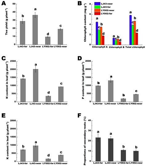 Effects of Tea Plant Varieties with High- and Low-Nutrient Efficiency ...