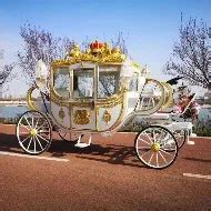 Company Overview - Zhengzhou Known Imp.&Exp. Co., Ltd.