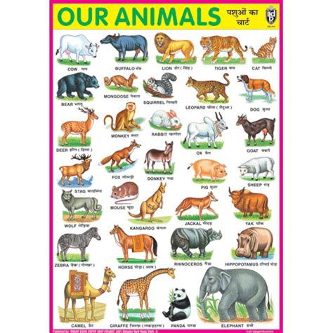 OUR ANIMALS CHART SIZE 70 X 100 CMS
