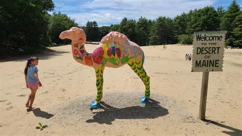 Winter storm to strengthen to a ‘bomb cyclone’—a third of US covered in ...