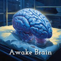 Geniuses in Action MP3 Song Download | Awake Brain @ WynkMusic