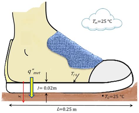 An Analytical Model to Predict Foot Sole Temperature: Implications to ...