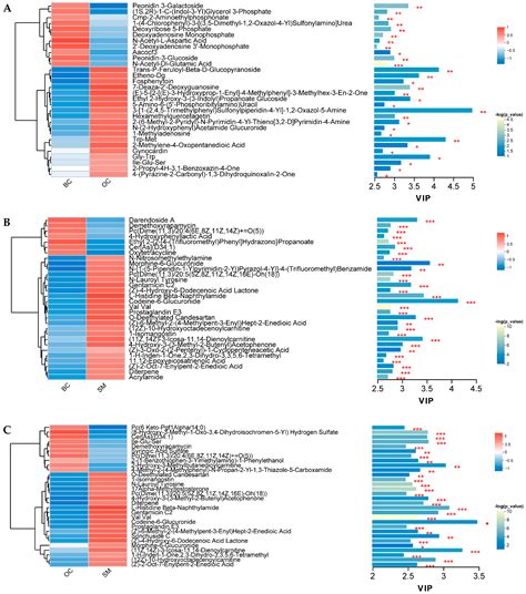 Metabolomic Profiling Reveals Social Hierarchy-Specific Metabolite ...
