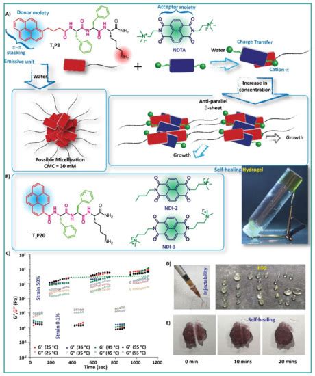 Gels | Special Issue : Smart Hydrogels: From Rational Design to ...