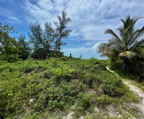 Bahamas Real Estate on Bimini For Sale - ID 47673