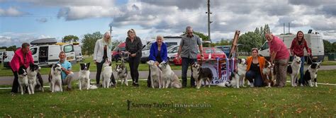 Yakutian Laika Club UK Breed Show 2025, Three Counties Showground ...