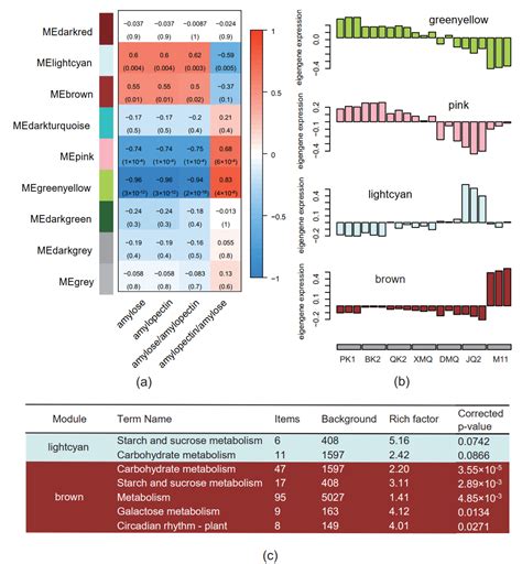 Understanding the Potential Gene Regulatory Network of Starch ...