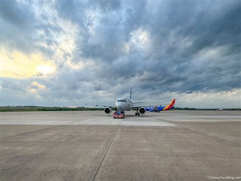spiders on plane | the disney food blog