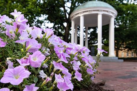 Spring break resources for 2025 - UNC Student Affairs
