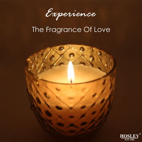 Hosley: Buy Scented Candles, Home Fragrance & Candle Holder Online ...