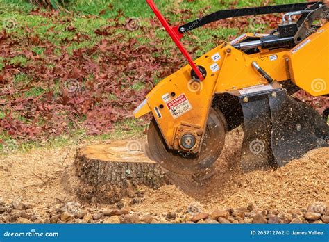 Image result for Tree Stump Grinder