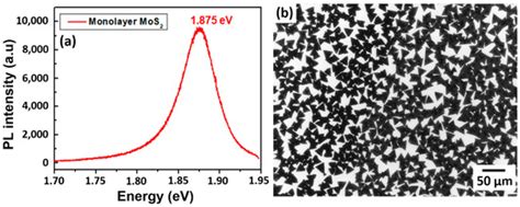 Application-Oriented Growth of a Molybdenum Disulfide (MoS2) Single ...