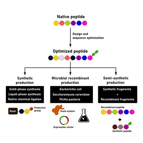 Image result for Peptide Synthesis Process
