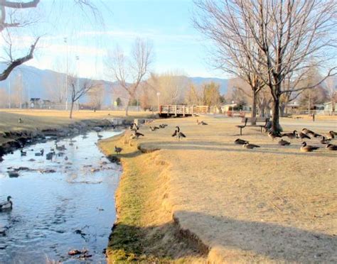 Great place to take kids - Reviews, Photos - Lampe Park (County Park ...