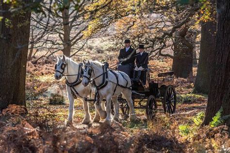 Royal Parks Shires - Richmond-upon-Thames | Tripadvisor