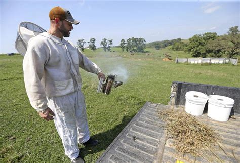 Beekeeper: Tending hives is fun despite occasional stings – AgriNews