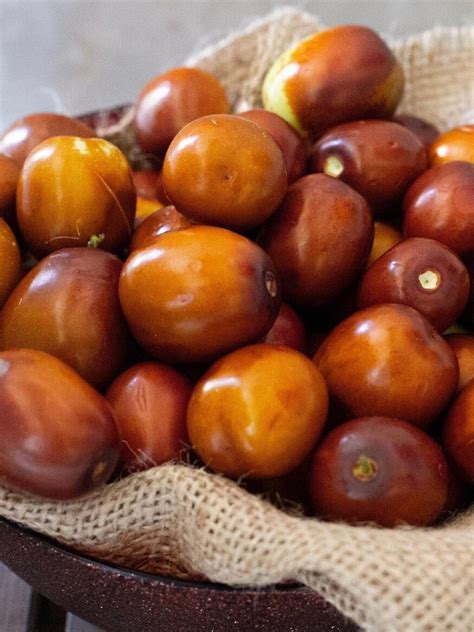 Indian Jujube Fruit health Benefits Kul er upokarita soc