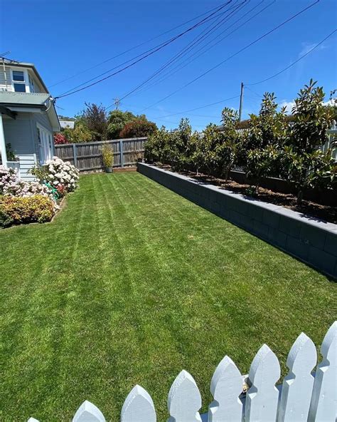 How to Care for a New Lawn | Lawn Squad