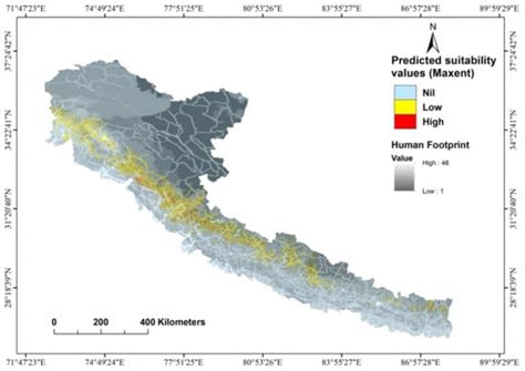 Cheer Pheasant (Catreus wallichii) and the Conservation Paradox ...