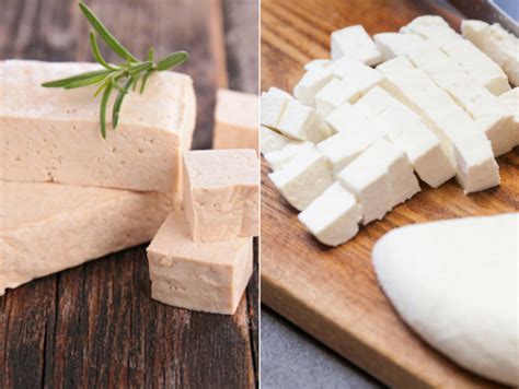 Paneer vs tofu: Which is better for weight loss? | The Times of India