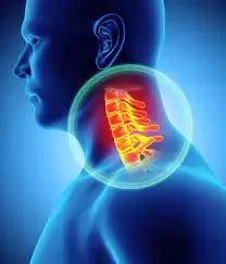 Cervical Pedicle Screw Insertion with Medial Pedicle Pivot Point: A ...