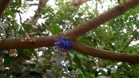 UDAYAGIRI CAVES (2026) All You Need to Know BEFORE You Go (with Photos ...